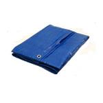 BLUE TARP 10X12